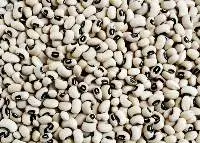 Premium Black-eyed Beans (Black-eyed Peas)