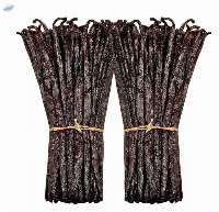 Premium Export Quality Vanilla Beans