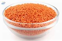 Lentil Seeds (Masoor Dal)