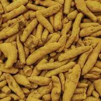 Turmeric Fingers