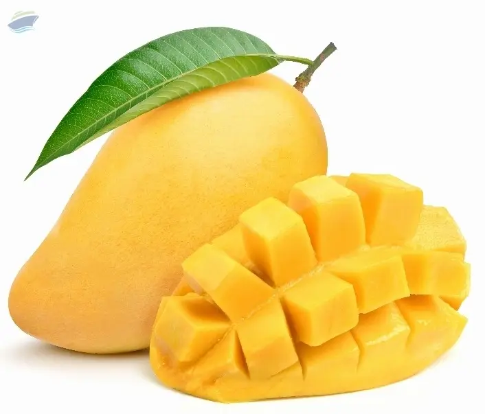 Chaunsa Mango