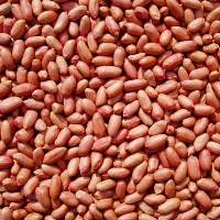 Raw Red Skin Peanuts