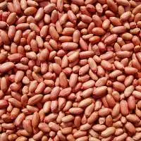 Raw Red Skin Peanuts
