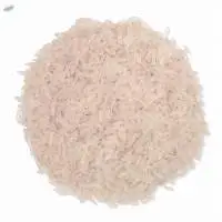 Mahmood Rice
