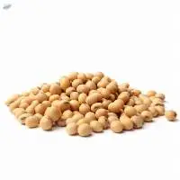 Organic Soybean Seeds