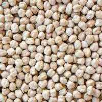 Chickpeas