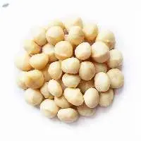 Raw & Roasted Macadamia Nuts