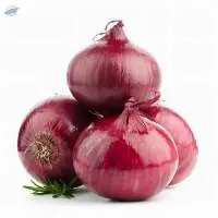 Onion