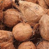 Semi Husked Coconut