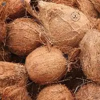 Semi Husked Coconut