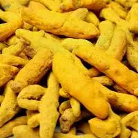 Turmeric Fingers
