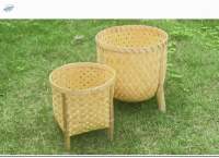 Bamboo Planter