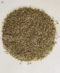 Cumin Seeds