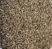 Cumin Seeds