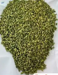Green Cardamom