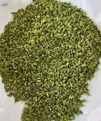 Green Cardamom