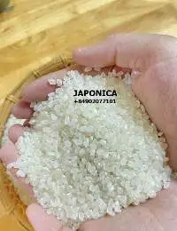 Japonica Rice / Sushi Rice