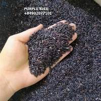 Purple Brown Rice