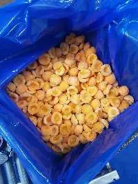 Frozen Apricot