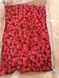 Fresh raspberries