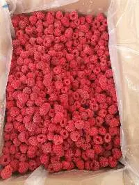 Fresh raspberries