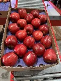 Red Apples