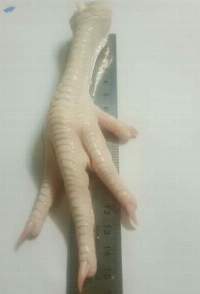 Chicken Paw (Frozen, Processed, or Dried)