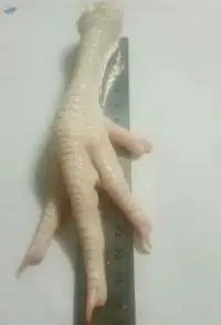 Chicken Paw (Frozen, Processed, or Dried)