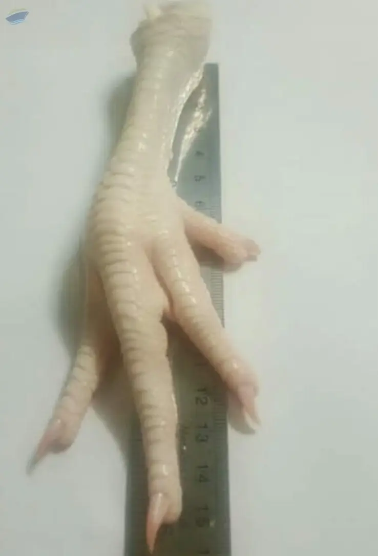 Chicken Paw (Frozen, Processed, or Dried)
