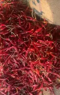 Dry Red Chilli (Teja, With stem / Stemless)