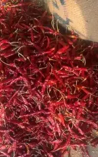 Dry Red Chilli (Teja, With stem / Stemless)