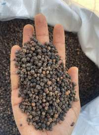 Premium Quality Black Pepper (550gl)