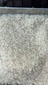 Premium Quality Rice (Basmati/Non Basmati)