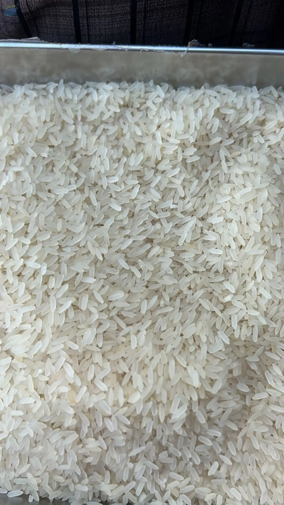 Premium Quality Rice (Basmati/Non Basmati)