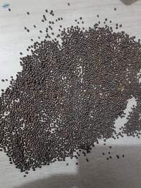 Black Mustard Seeds Premium Quality