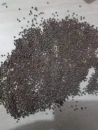 Black Mustard Seeds Premium Quality