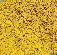 Dry Turmeric Finger