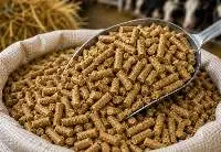 Premium Grade Cattle Feed Pellets