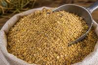 Premium Grade Cattle Feed Mash