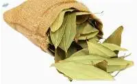 Bay Leaf (Tej Patta)