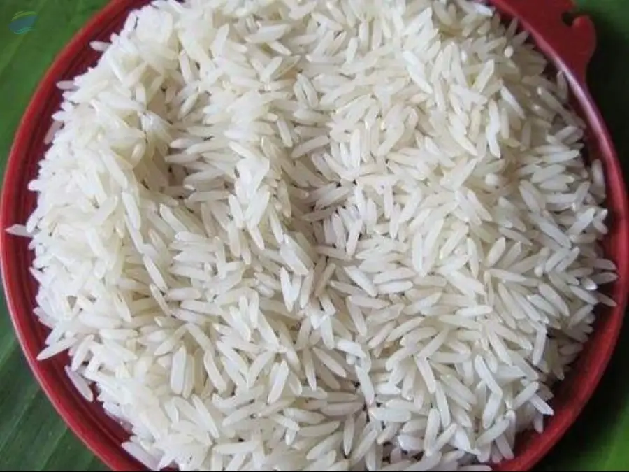 Sharbati Steam Basmati Rice