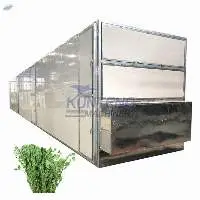 Continuous Lemongrass Mesh Belt Drying Machine