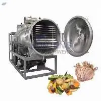 Industrial Fruit & Vegetable Vacuum Freeze Dryer