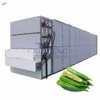 Large Continuous Working Mesh Belt Food Dryer