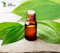 Cinnamon Leaf Oil