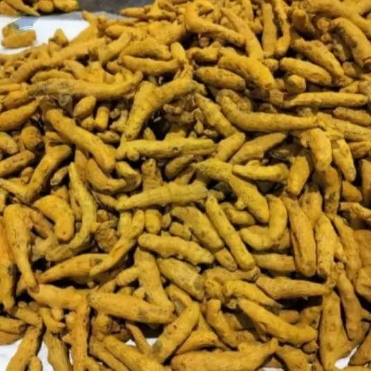 Turmeric Finger