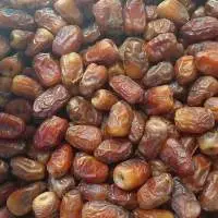 Siwi egyptin Dates