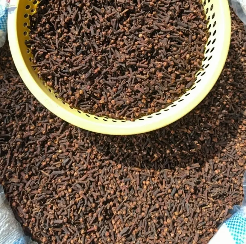 AB6 Lal-Pari and AB6 Zanzibar Cloves
