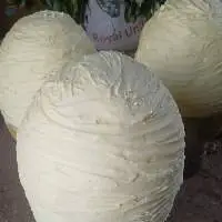 Raw Shea Butter - Ghana