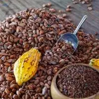 Cocoa Beans